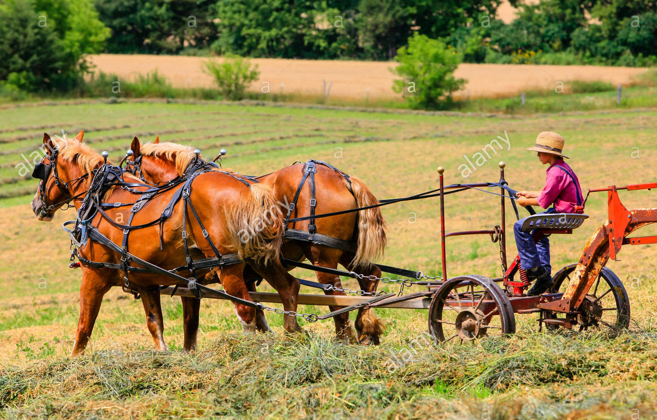 Agriculture